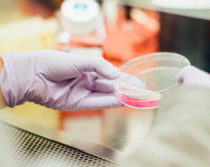 Marta Busquets Foto Estrias 1